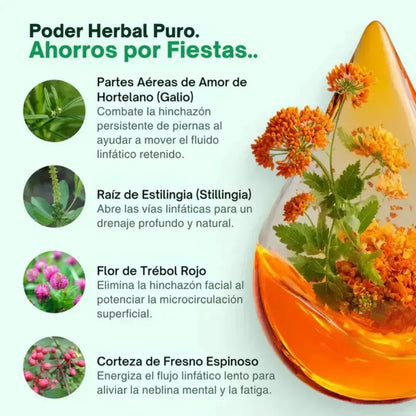 Lympha™ | Gotas de Drenaje Linfático 60 ml
